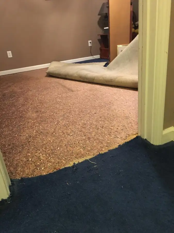 Carpet pad removal revealing water damage during Drying & Dehumidification in Moab