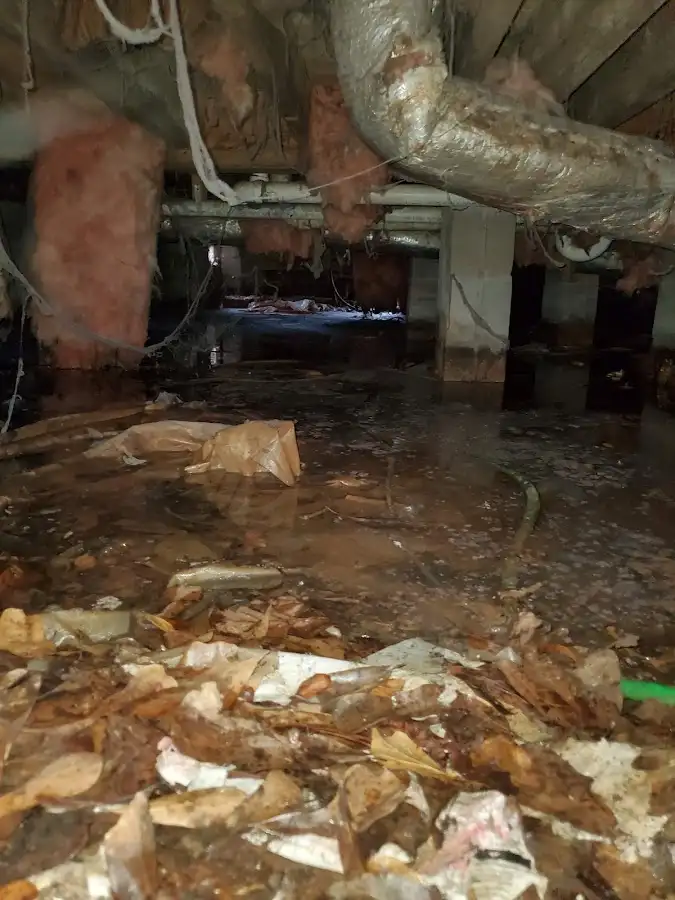 Crawl space flood assessment for Leak Detection & Repair in Moab